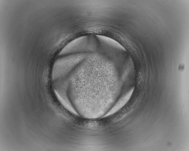 X0000090420600200708101944