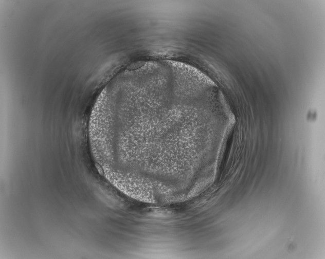 X0000090420601200708101944