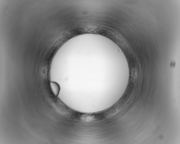 X0000090420602200708101944