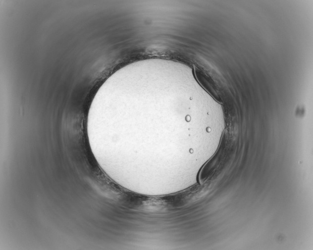 X0000090420603200708101944