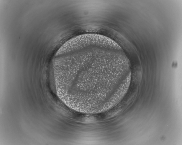 X0000090420604200708101944