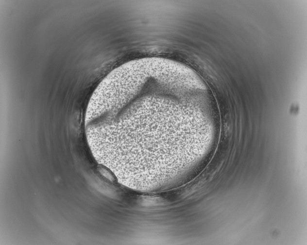 X0000090420605200708101944