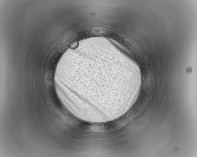 X0000090420606200708101944