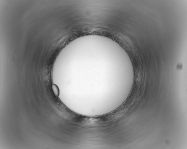 X0000090420607200708101944