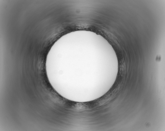 X0000090420608200708101944