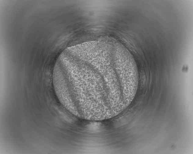 X0000090420609200708101944