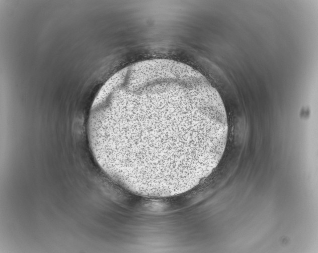 X0000090420610200708101944