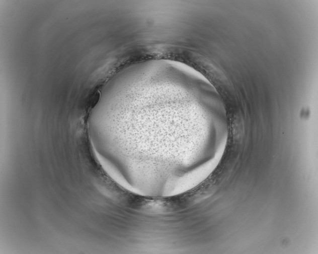 X0000090420611200708101944