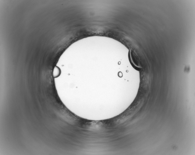 X0000090420612200708101944