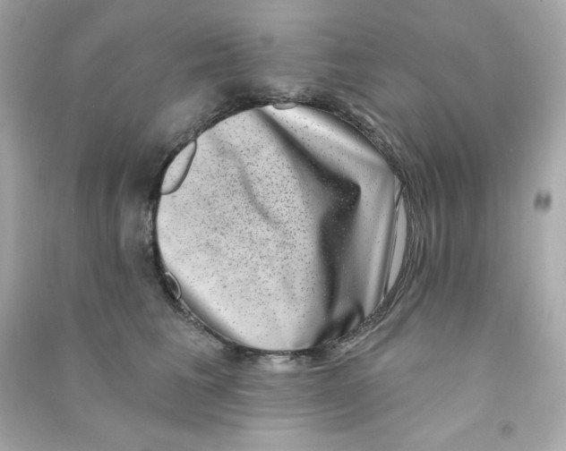 X0000090420613200708101944