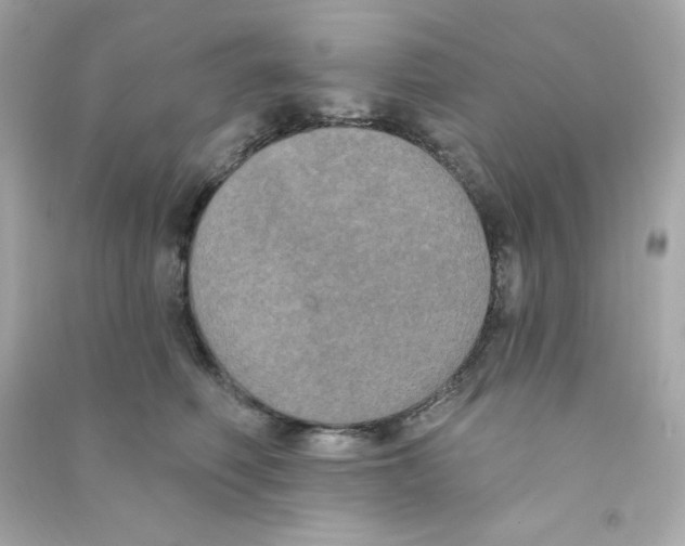 X0000090420614200708101943