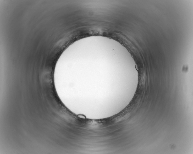 X0000090420616200708101943