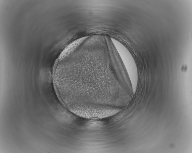 X0000090420617200708101943