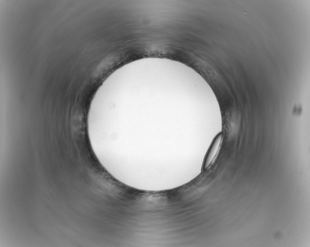 X0000090420619200708101943