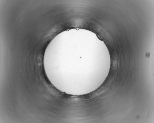 X0000090420620200708101943