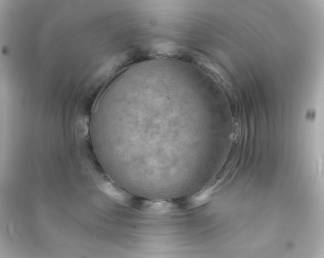 X0000090420621200708101943