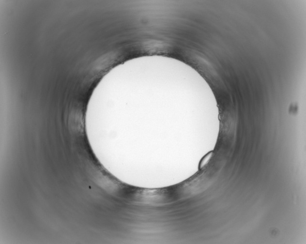 X0000090420622200708101943