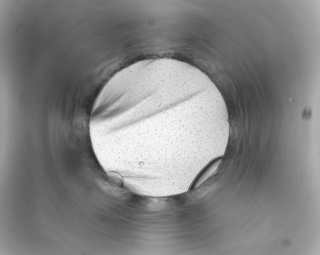 X0000090420623200708101943