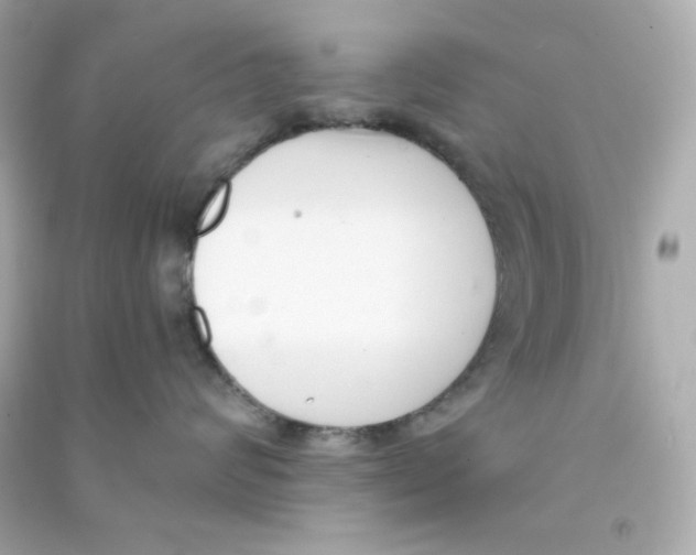 X0000090420624200708101943