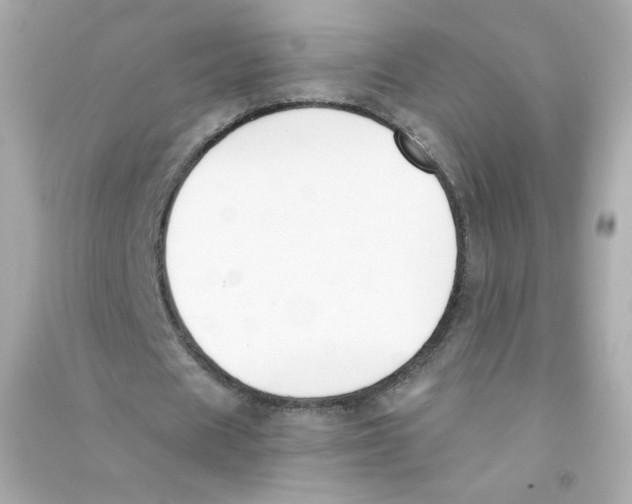 X0000090420625200708101943