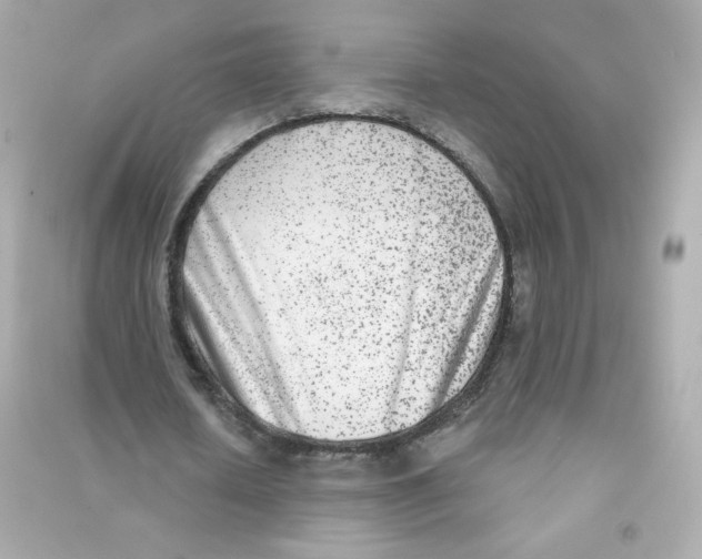X0000090420626200708101943