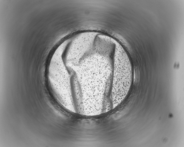 X0000090420627200708101943