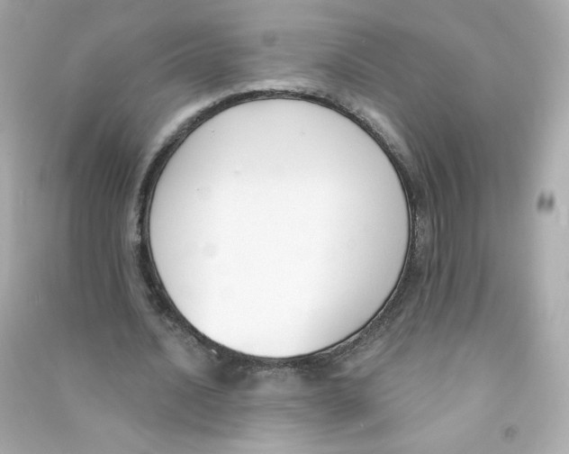 X0000090420628200708101943