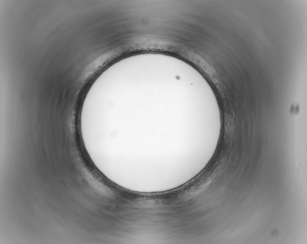 X0000090420629200708101943