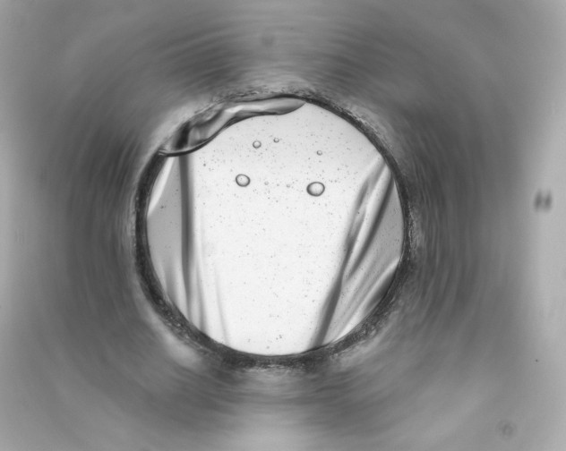 X0000090420630200708101943