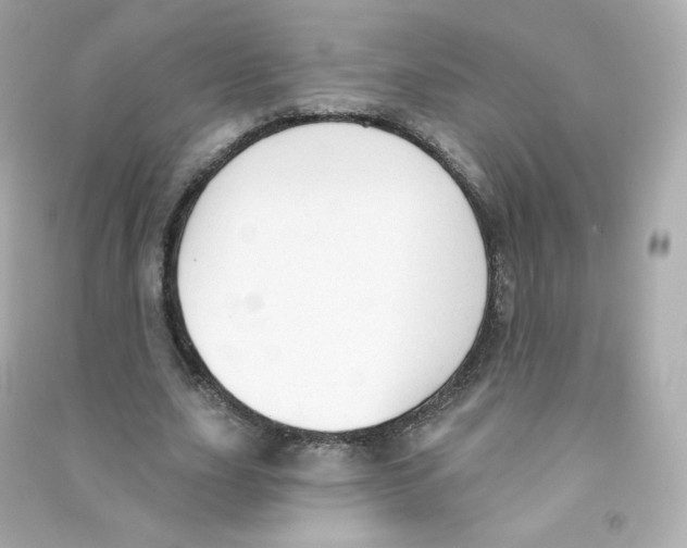 X0000090420631200708101943