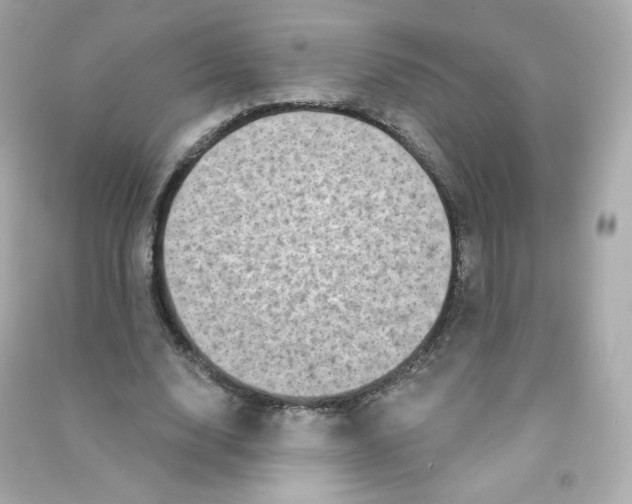 X0000090420632200708101943