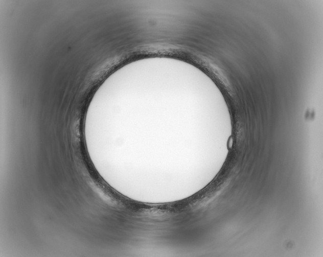X0000090420633200708101943