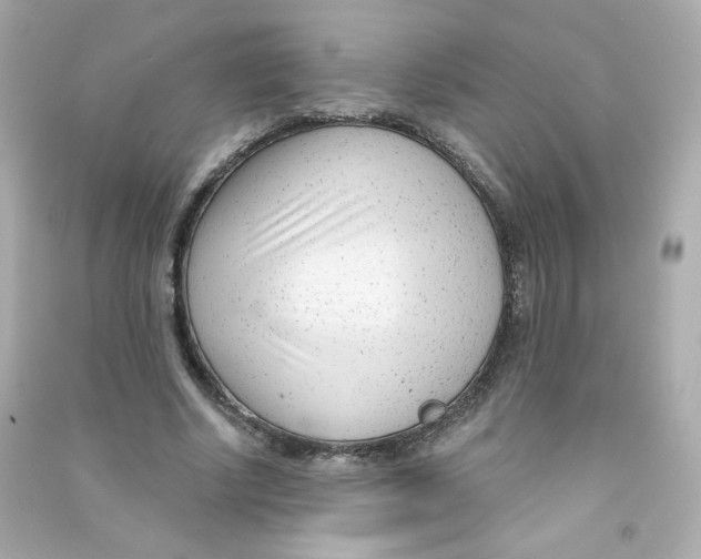 X0000090420634200708101943
