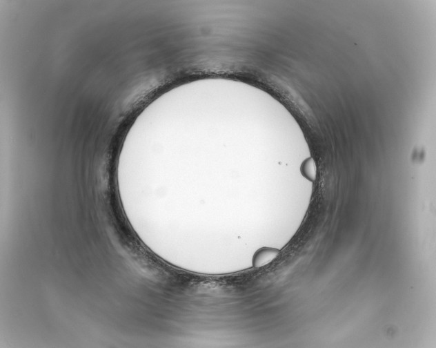 X0000090420635200708101943