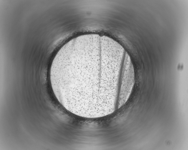 X0000090420640200708101943