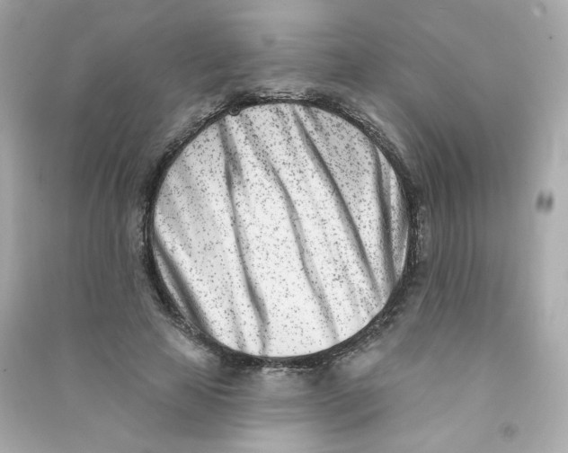 X0000090420641200708101943