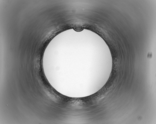 X0000090420642200708101943