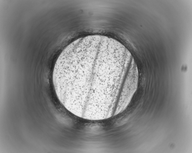 X0000090420643200708101943