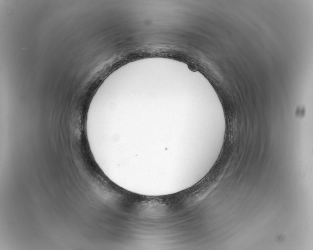 X0000090420644200708101943