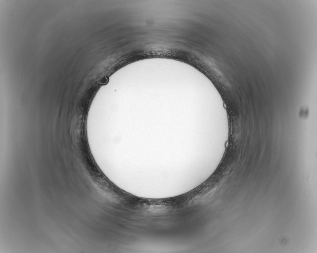 X0000090420645200708101943