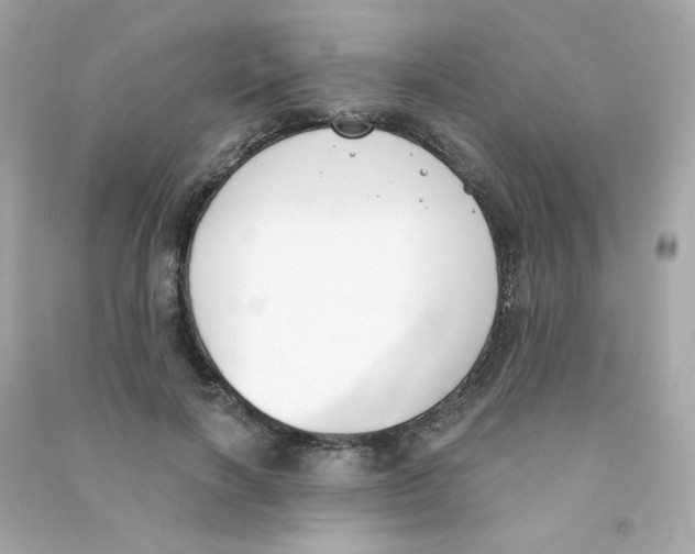 X0000090420646200708101943