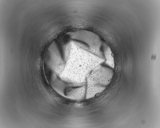 X0000090420647200708101943