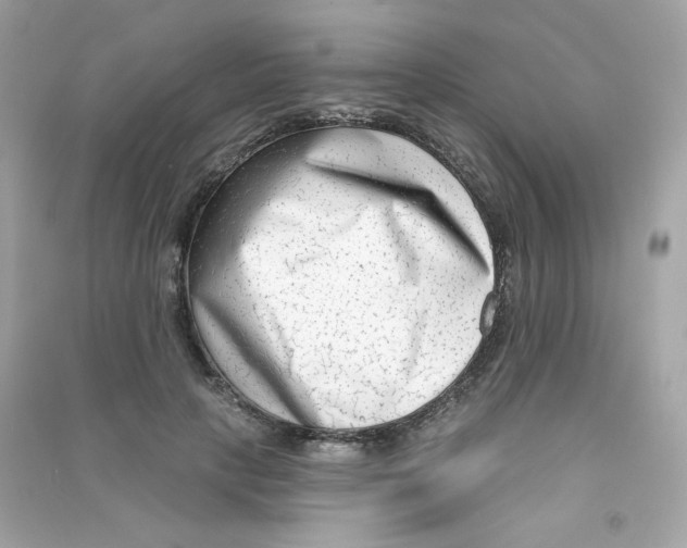 X0000090420649200708101943