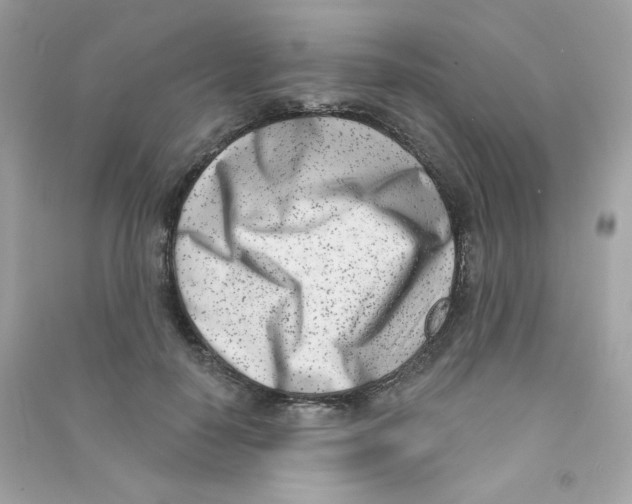 X0000090420650200708101943