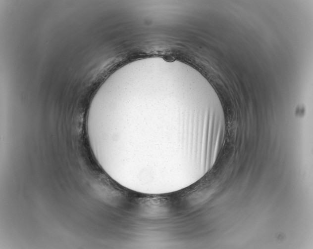 X0000090420652200708101943