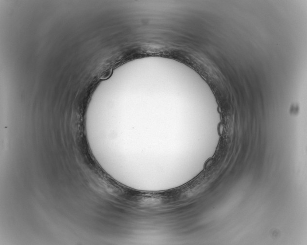 X0000090420653200708101943