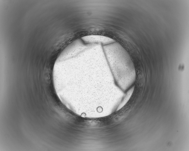 X0000090420654200708101943