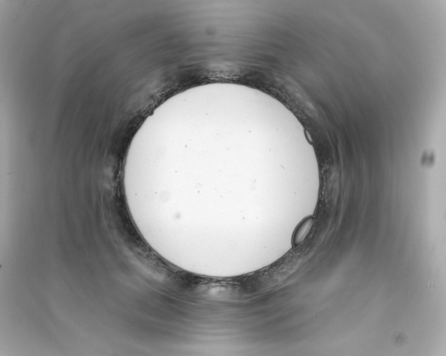 X0000090420655200708101943