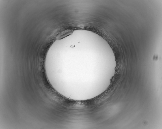 X0000090420656200708101943