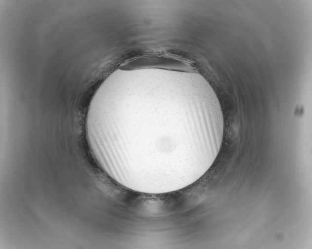 X0000090420658200708101943